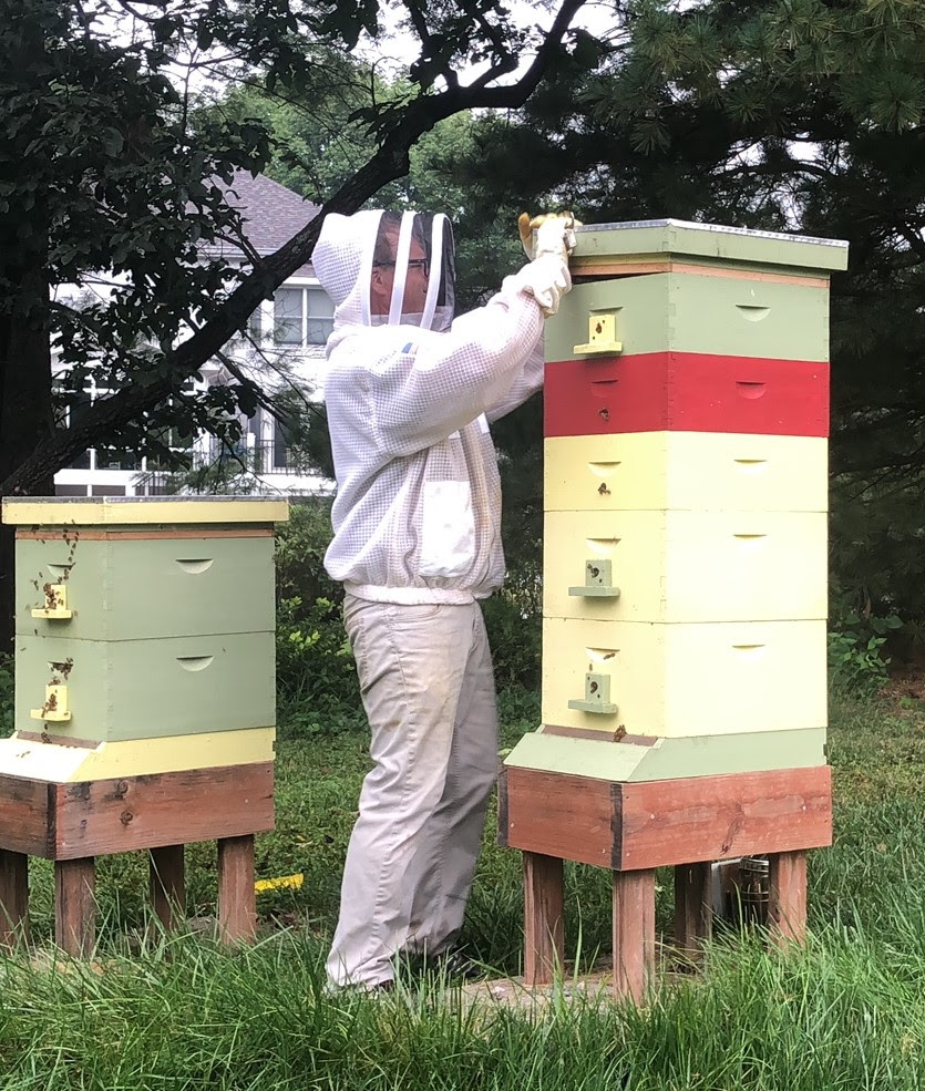 bee-keeping-honey-harvest