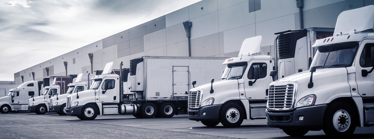 trucking-company-trucks-loading